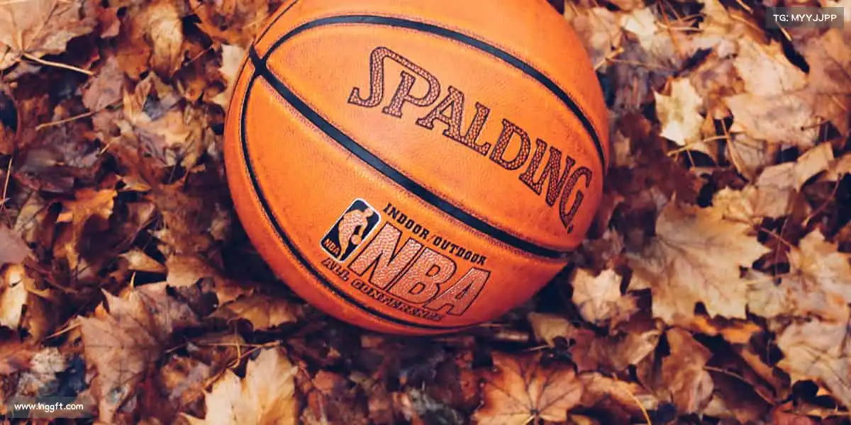 行业领先的理由